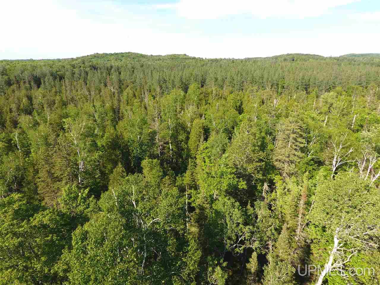 Tbd Co Rd Ppl Ishpeming, MI 49849 - Photo 13 of 30