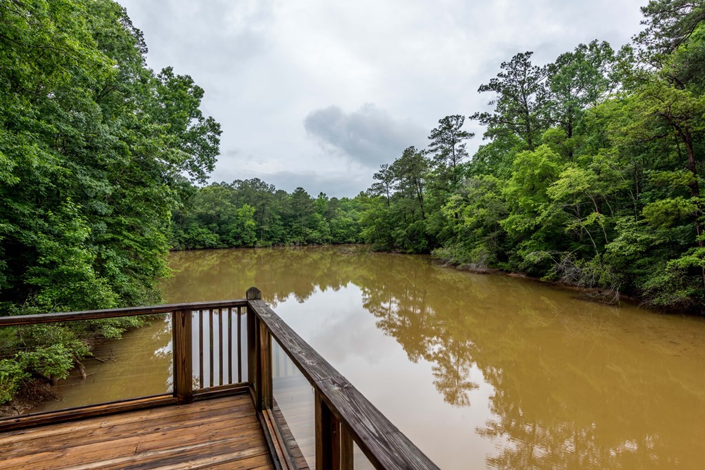 581 Sturges Road Fortson, GA 31808 - Photo 15 of 46 Gallery Image 15
