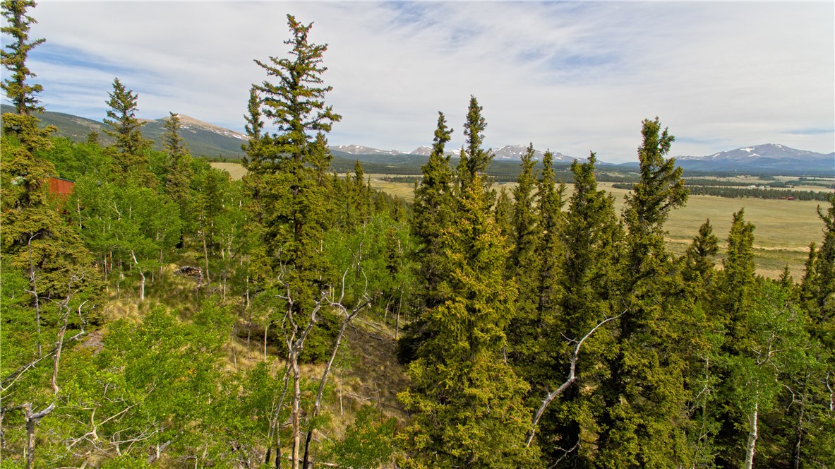 479 Sheep Ridge Road Fairplay, CO 80440 - Photo 8 of 8 Gallery Image 8