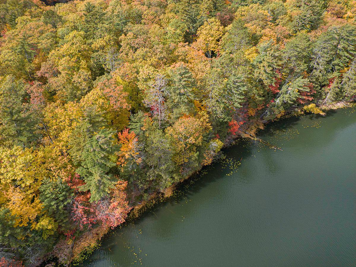 6078 County Road South Land O'Lakes, WI 54540 - Photo 30 of 49 Gallery Image 30