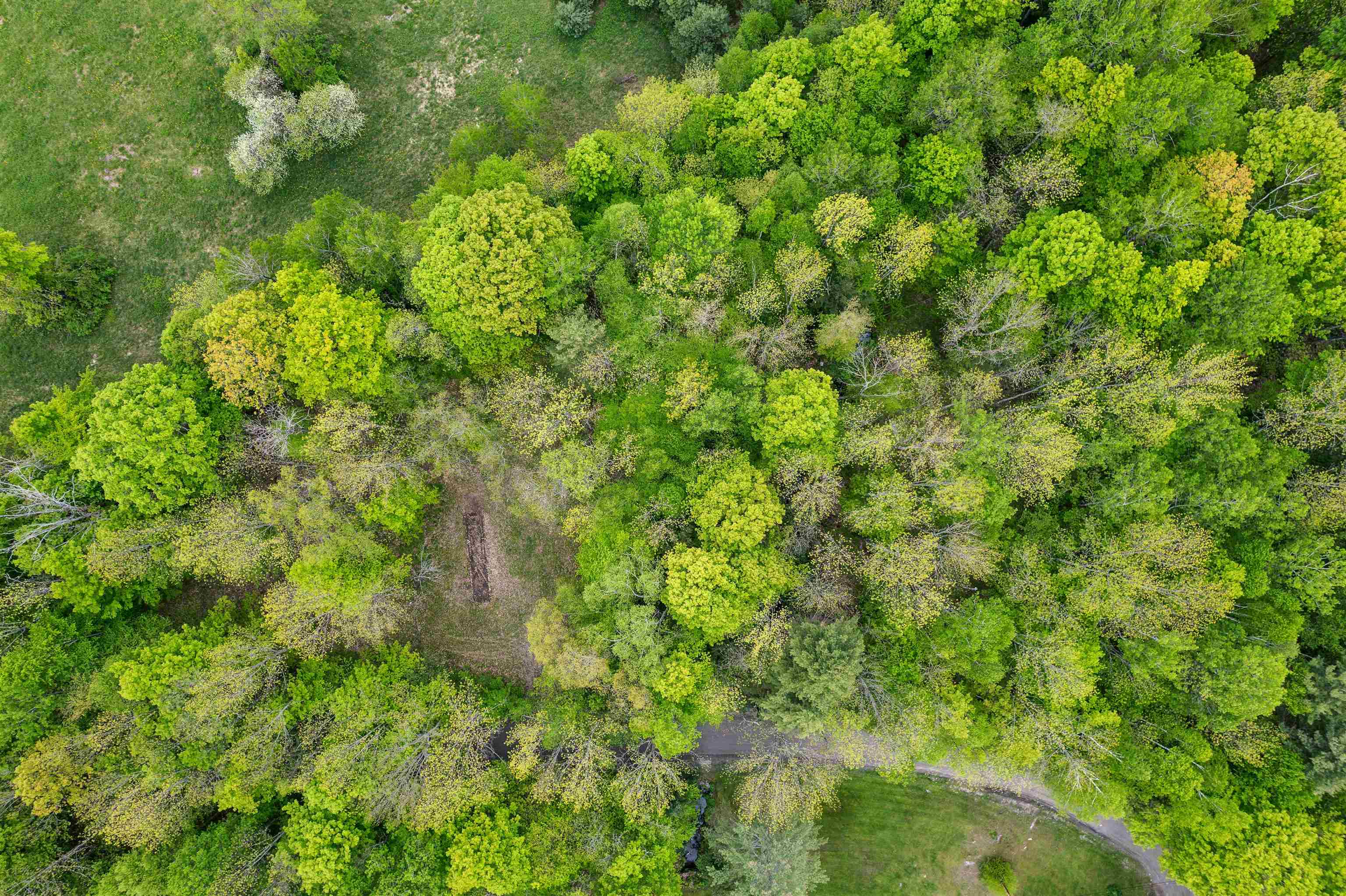 0 Stackpole Road Bethel, VT 05032 - Photo 11 of 15