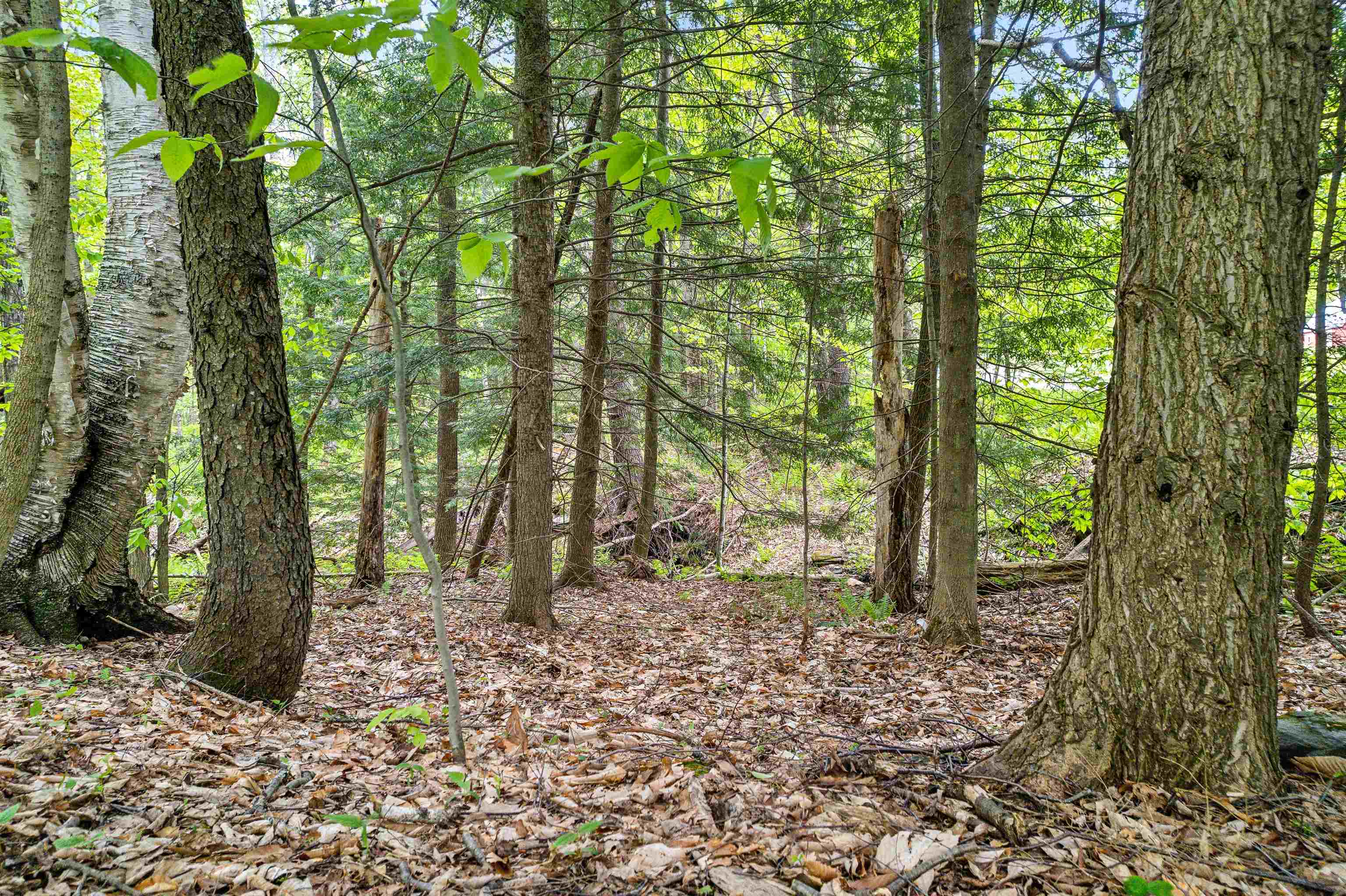 0 Stackpole Road Bethel, VT 05032 - Photo 12 of 15