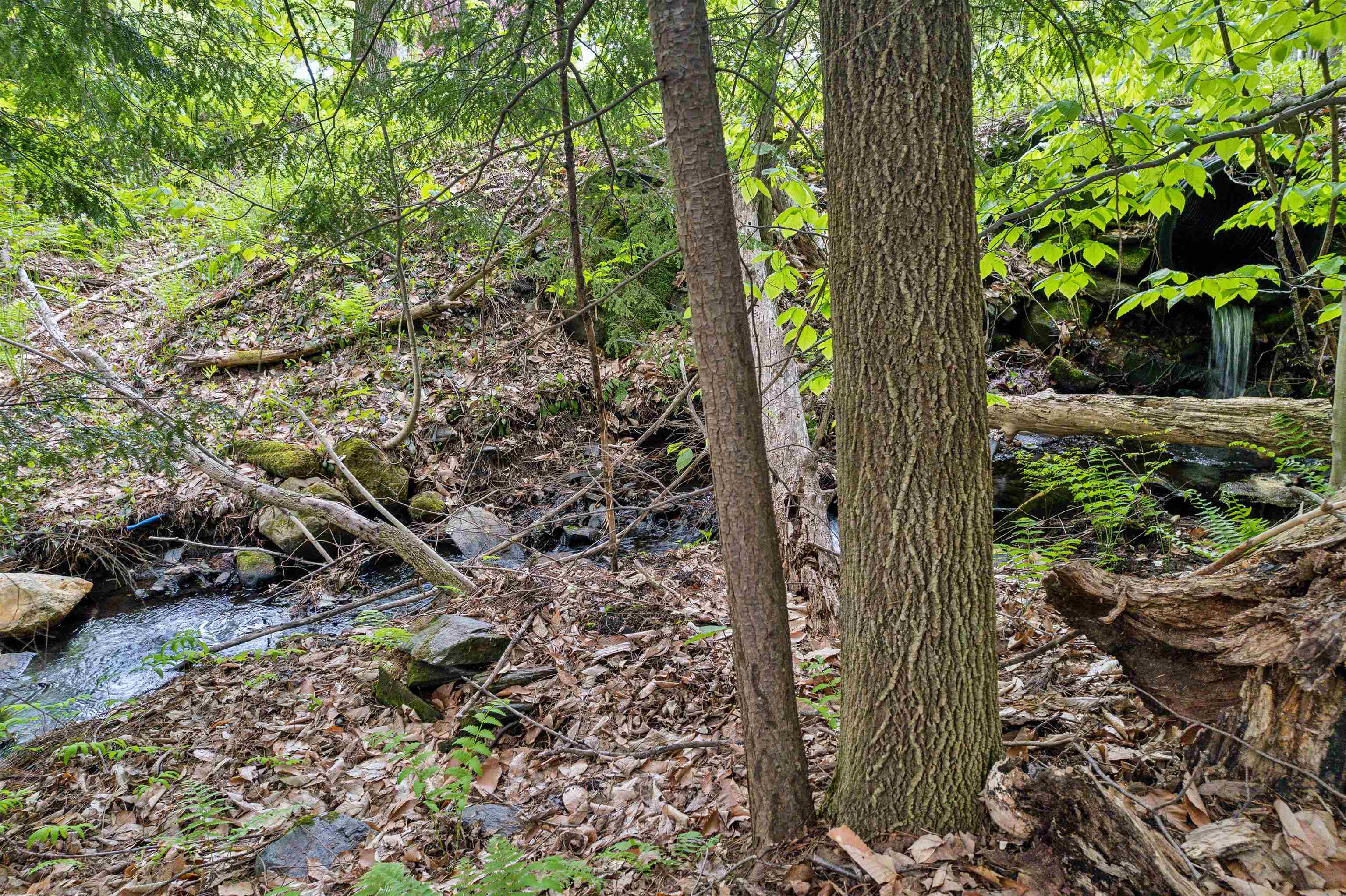 0 Stackpole Road Bethel, VT 05032 - Photo 14 of 15