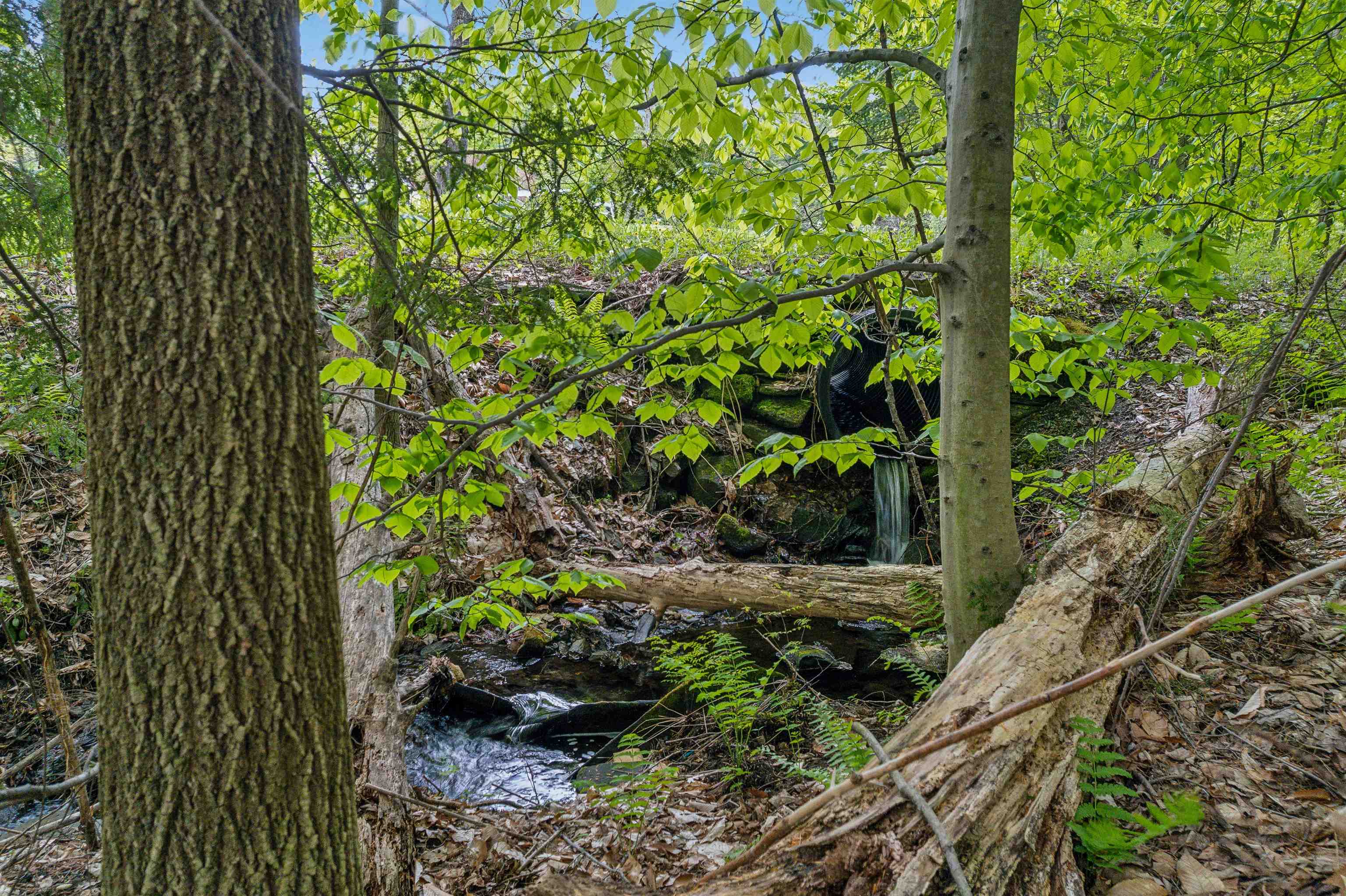 0 Stackpole Road Bethel, VT 05032 - Photo 15 of 15
