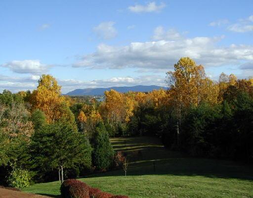 382 Mallard Point Road Wirtz, VA 24184 - Photo 2 of 3 a view of a green yard