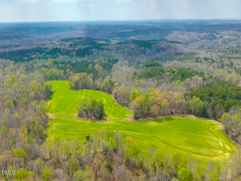 7793 Ridgeville Road Leasburg, NC 27291 - Photo 34 of 91