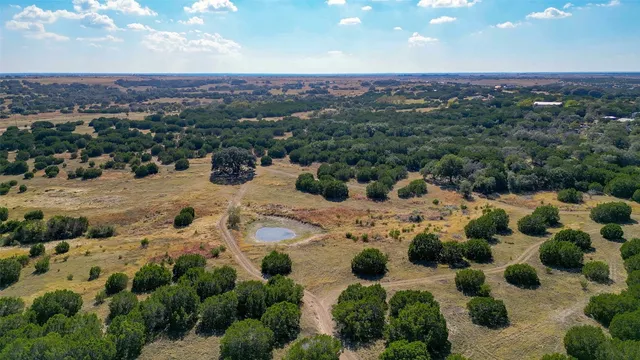 a view of a backyard of a house with a lot of trees around