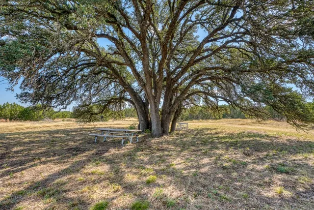a view of yard with trees