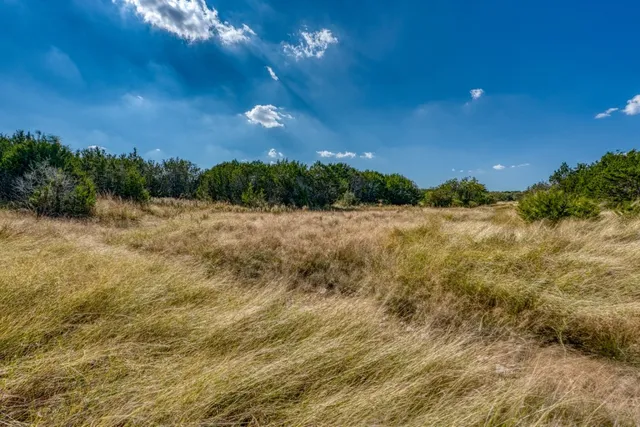 a view of a pathway with a yard