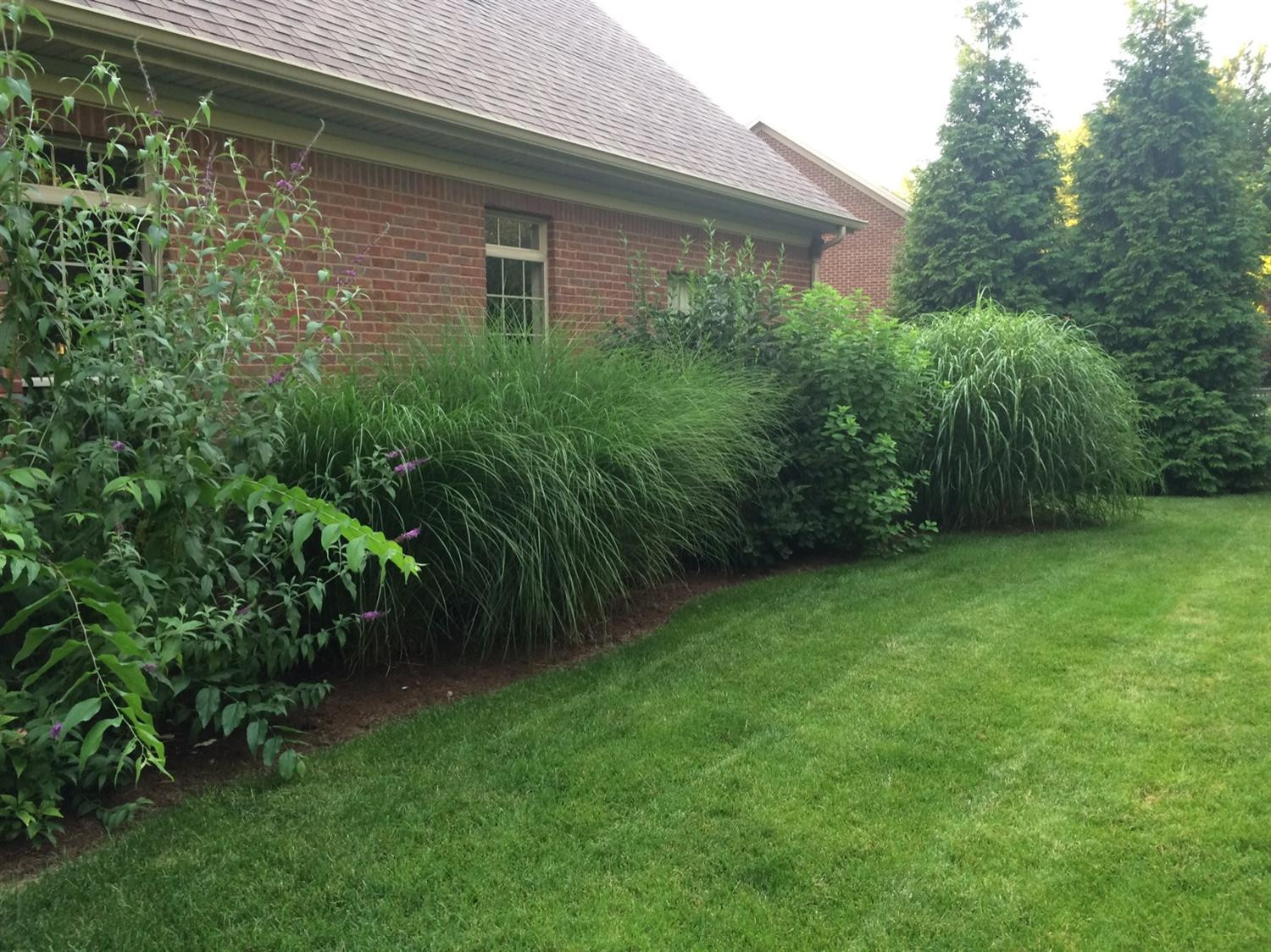4036 Greentree Road Versailles, KY 40383 - Photo 6 of 43 Listing Photo