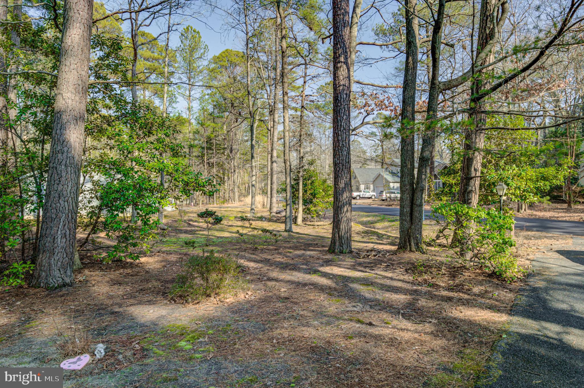 16 Canal Road Ocean Pines, MD 21811 - Photo 54 of 56 Side yard