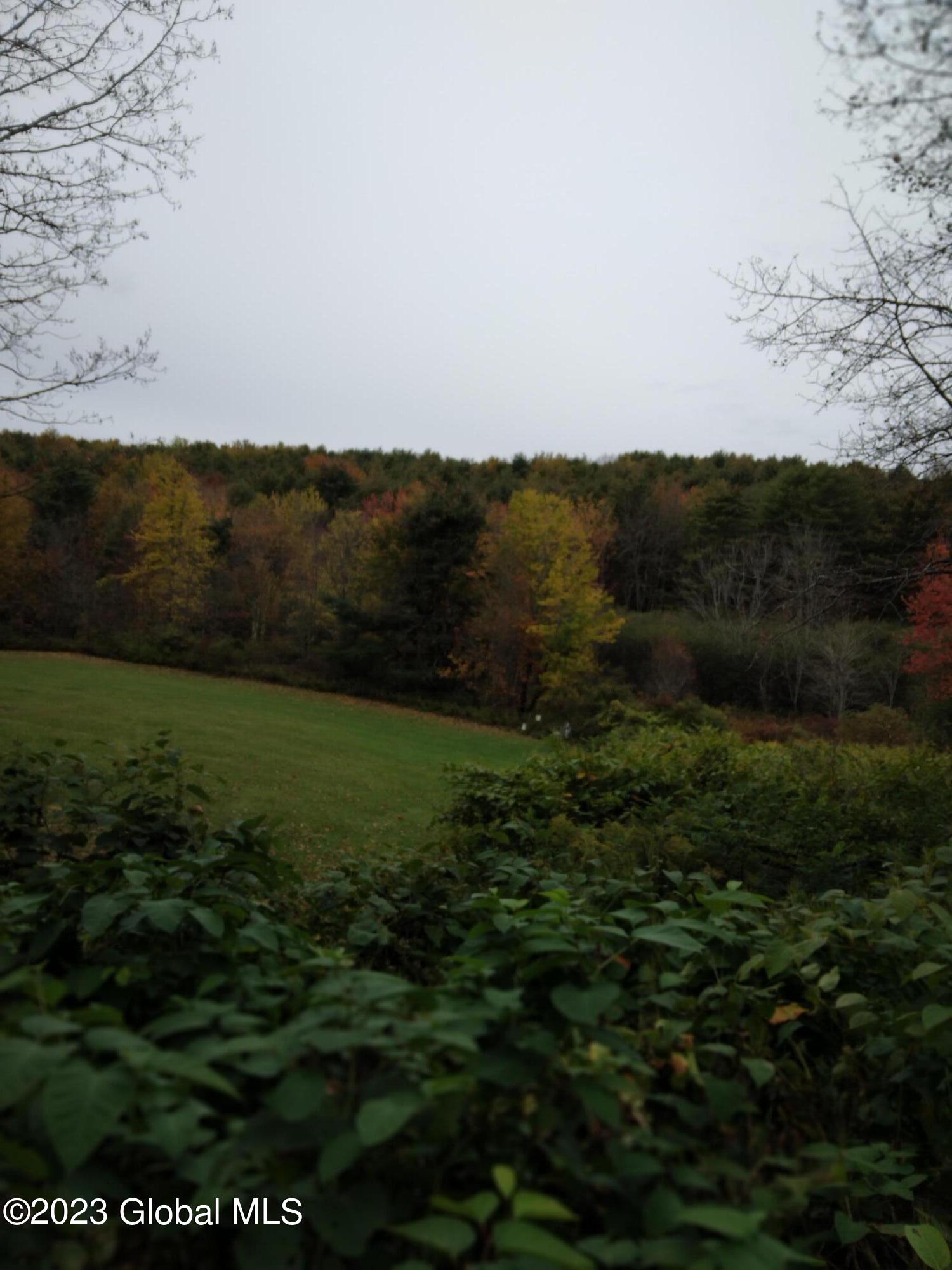 415 Maybie Road Gilboa, NY 12076 - Photo 28 of 30 20231014_115149