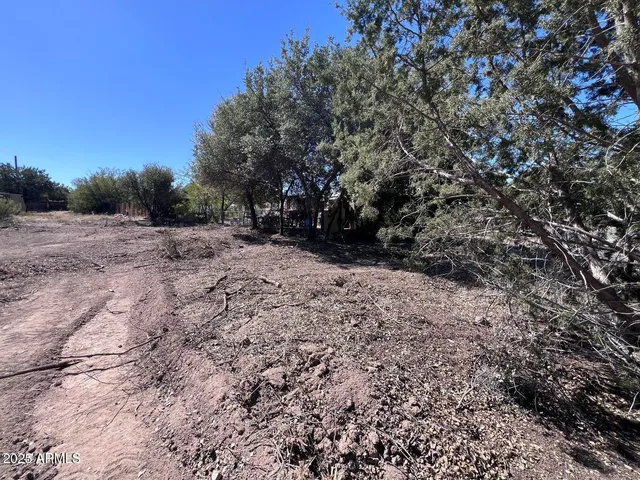 a view of a yard with a tree