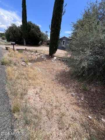 a view of fire pit with large trees