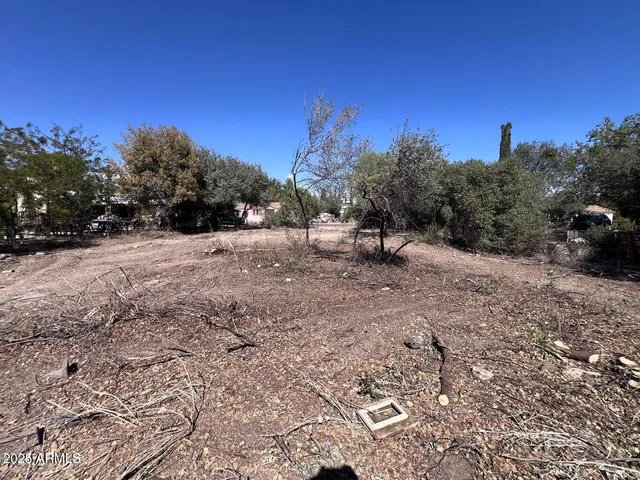 a view of a yard with trees in the background