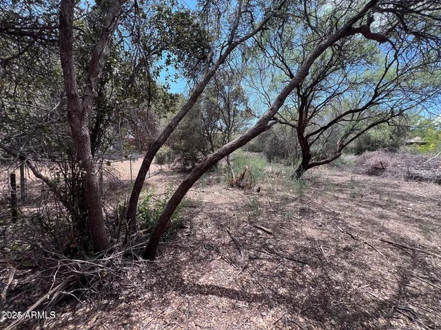 a view of outdoor space