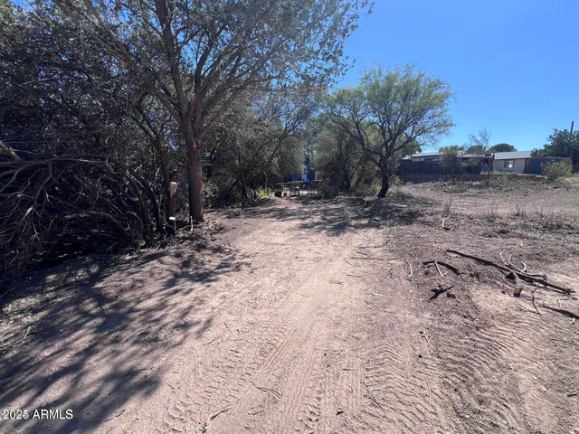 a view of a yard with trees