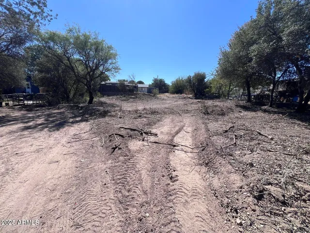a view of a yard with a tree