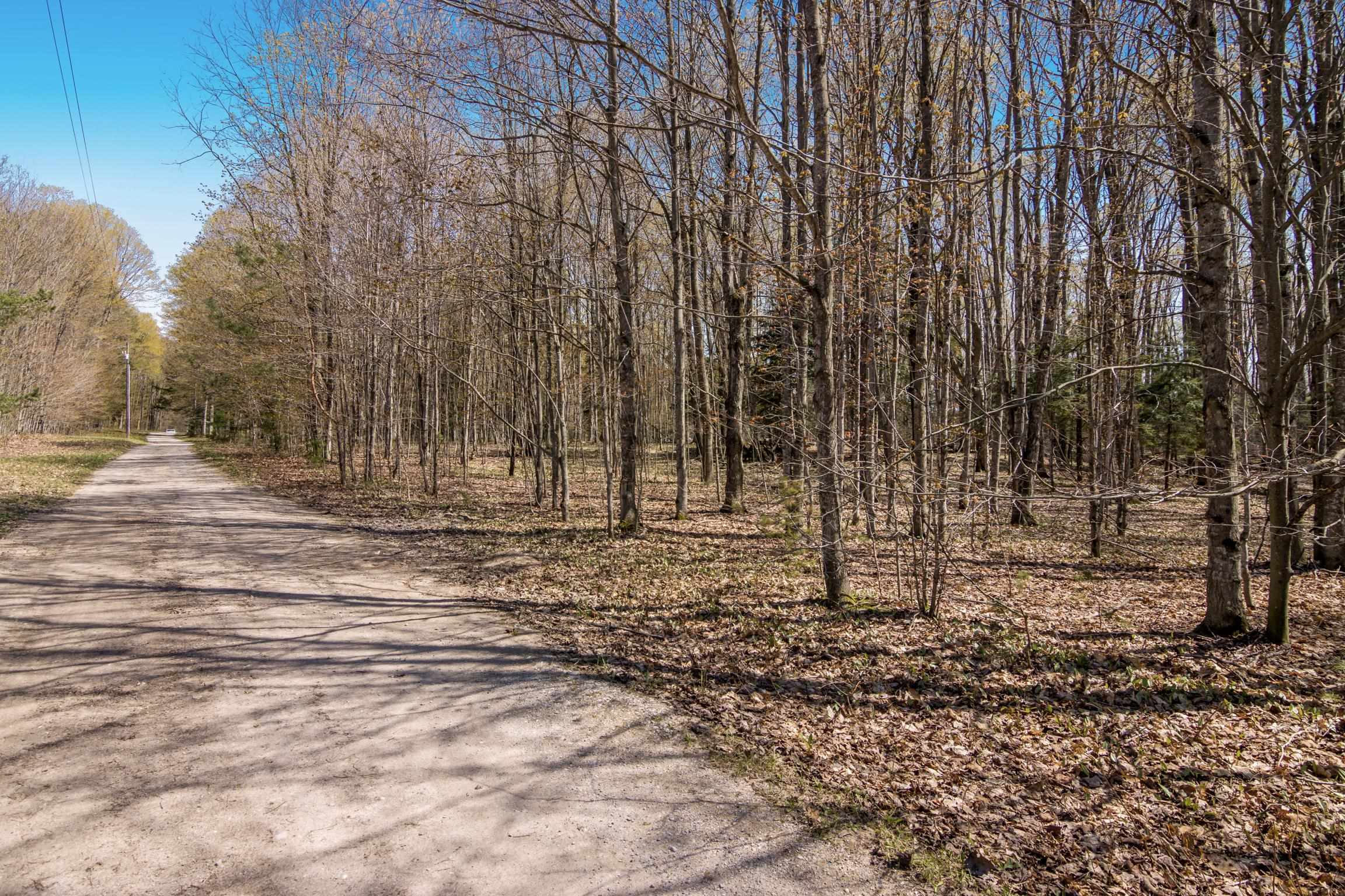 2 Woodland Trail, Unit PARCEL 2 Cedar, MI 49621 - Photo 19 of 19