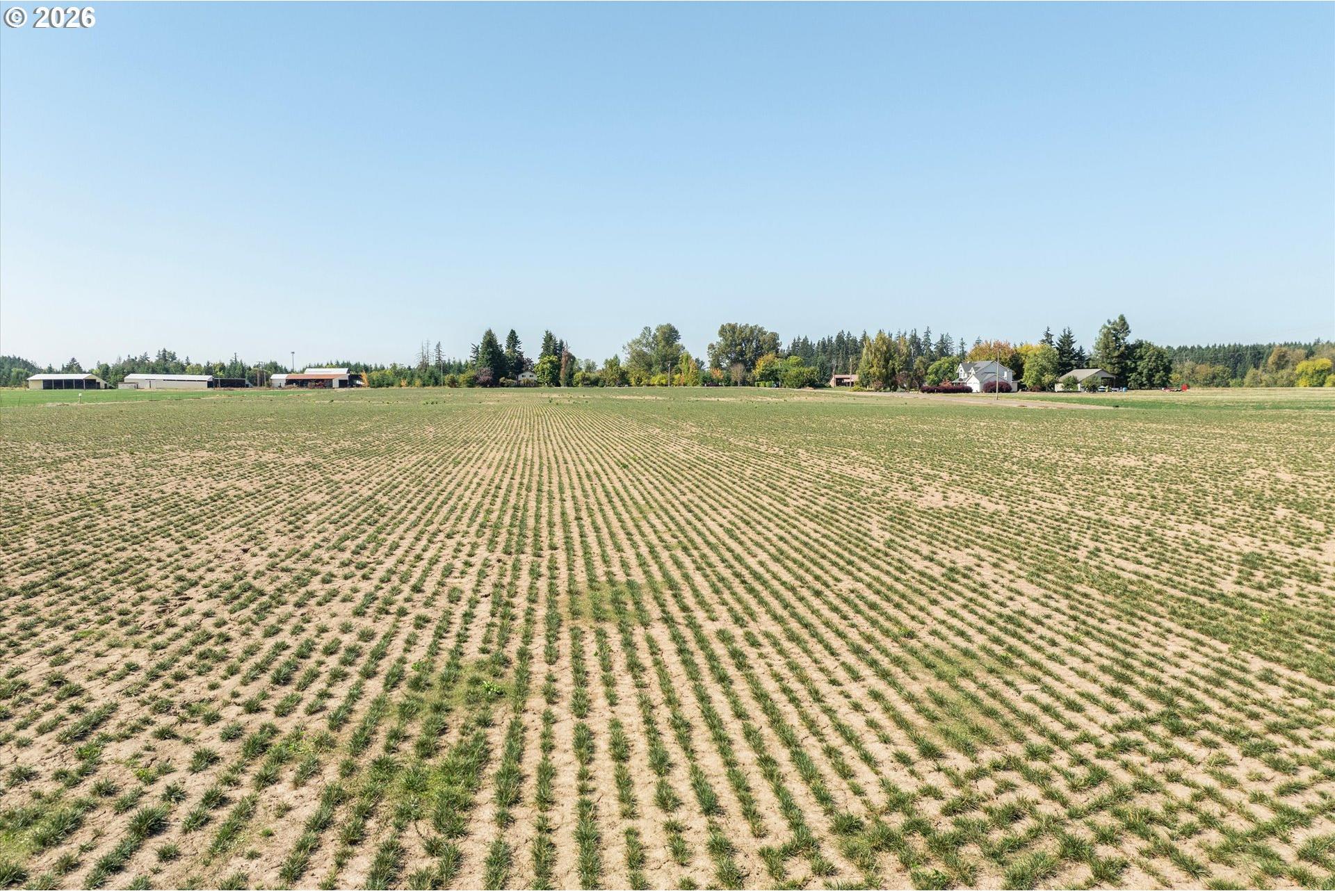 31601 Yoder Road Hubbard, OR 97032 - Photo 19 of 25 Gallery Image 19