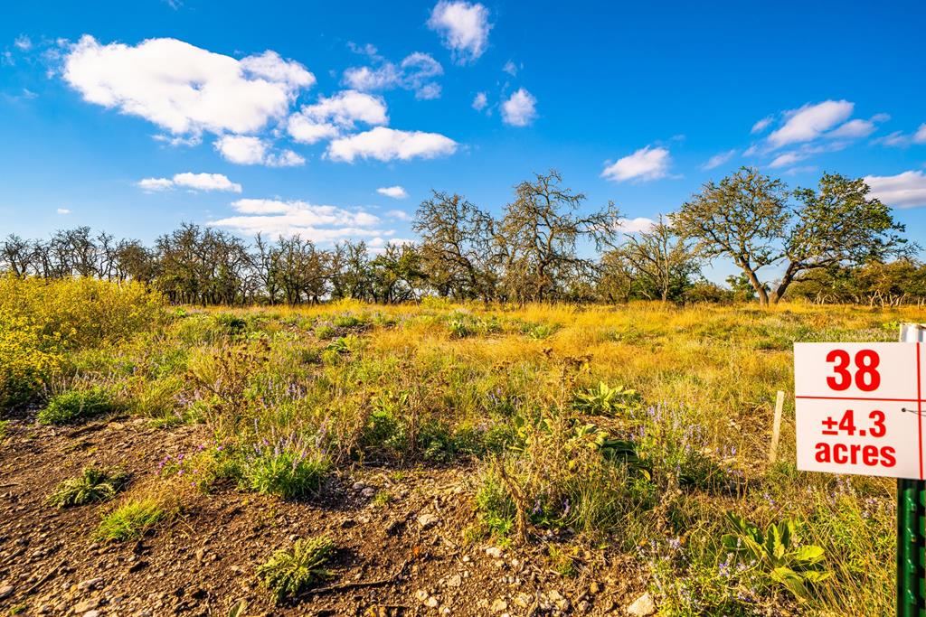 Lot 38 Reservation Road, Unit 38 Harper, TX 78631 - Photo 1 of 5 Main View
