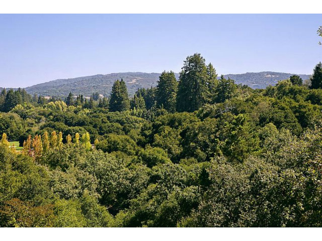 150 Farm Road Woodside, CA 94062 - Photo 4 of 19 a view of a lush green field