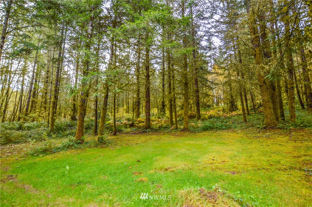 247 Rutherford Lane Castle Rock, WA 98611 - Photo 15 of 25 Gallery Image 15