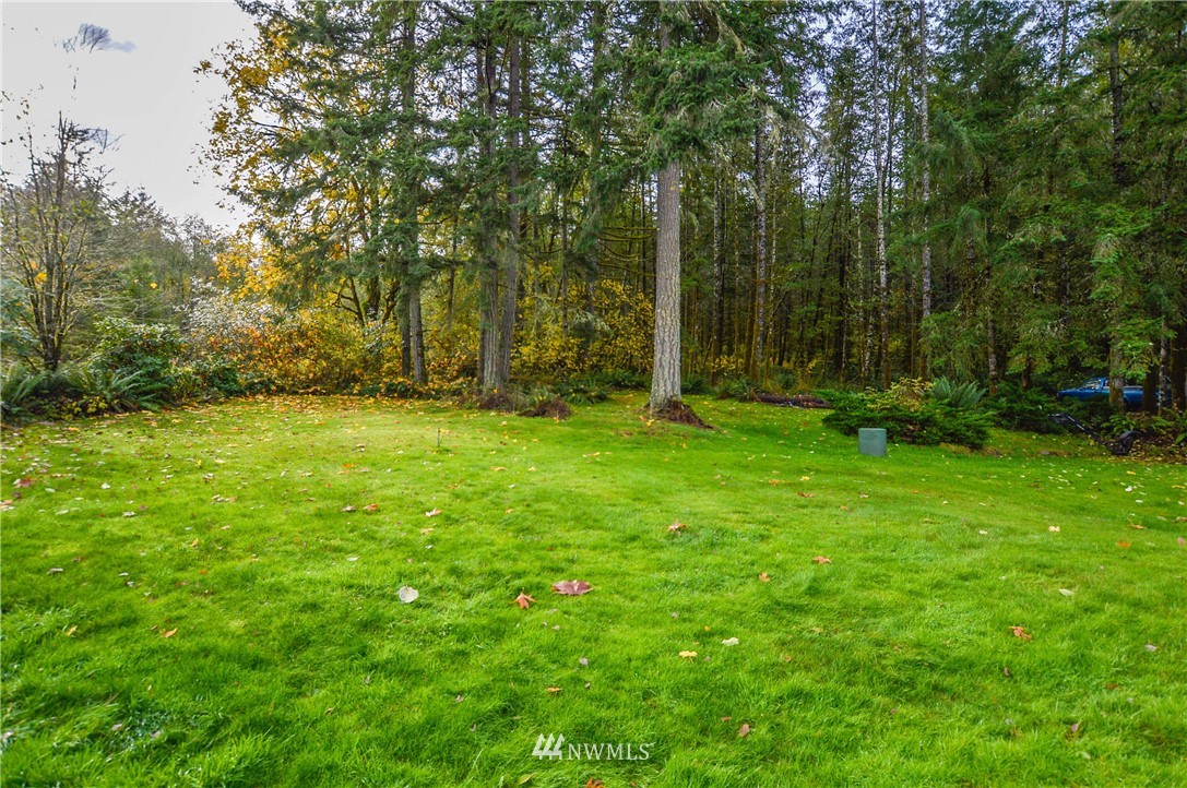 247 Rutherford Lane Castle Rock, WA 98611 - Photo 18 of 25 Gallery Image 18