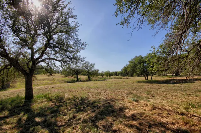 a view of big yard with large trees