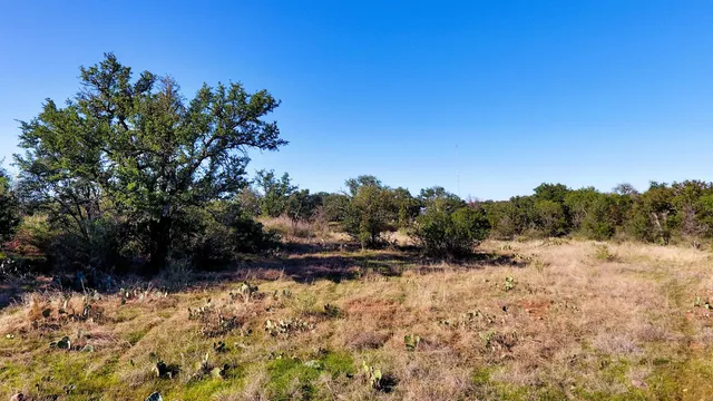 a view of a yard with a tree