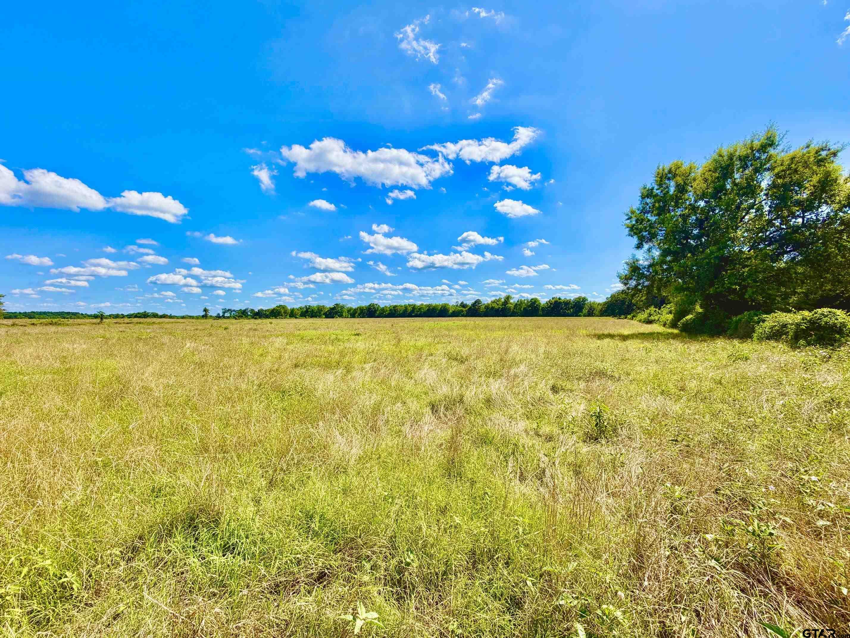 Tbd Cooper Settlement Road Crockett, TX 75835 - Photo 5 of 11