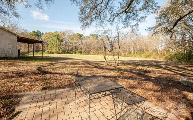 a road view with large trees