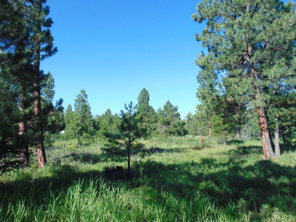 4615 Abe Lincoln Road Lincoln, MT 59639 - Photo 81 of 92 Gallery Image 81