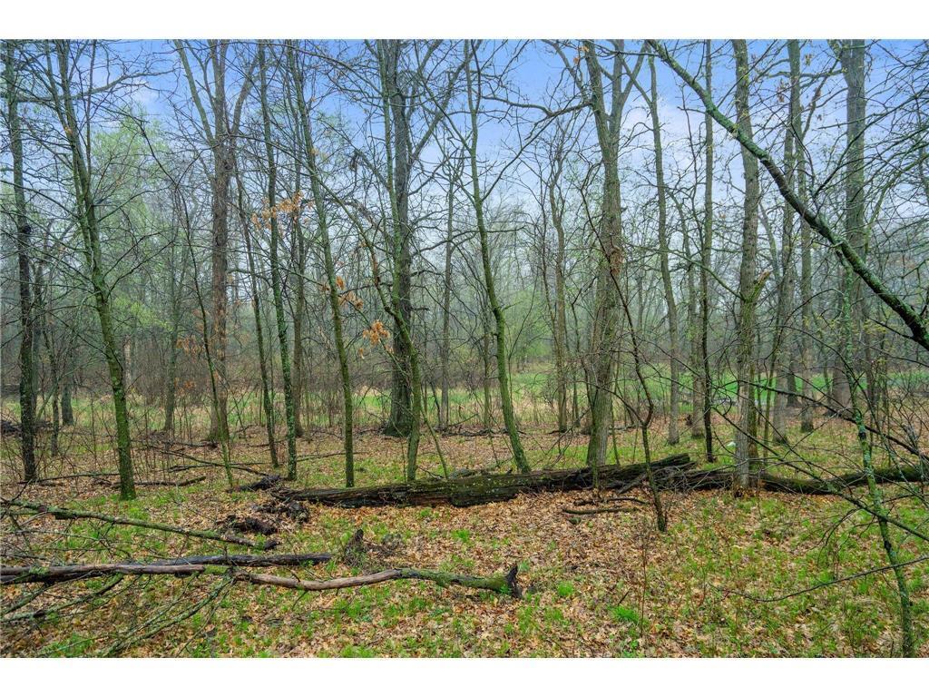 L3 B5 121st Street Southeast Big Lake, MN 55309 - Photo 6 of 6