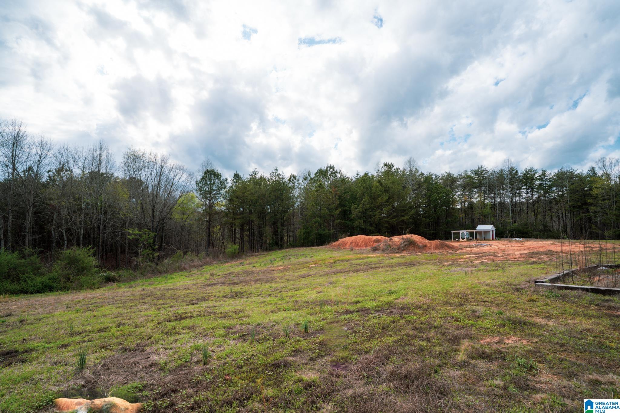 17571 Groundhog Road Adger, AL 35006 - Photo 89 of 94