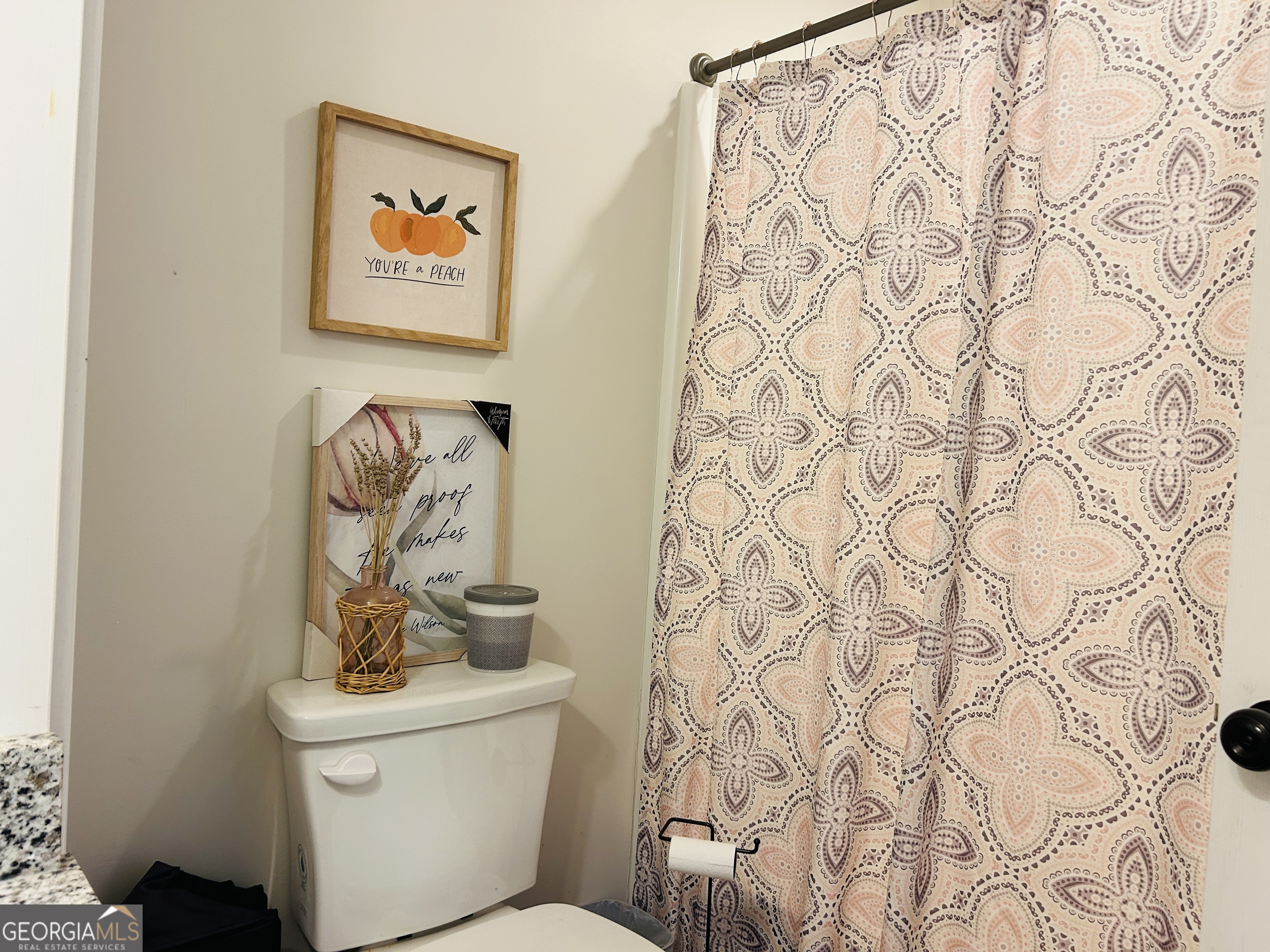 3077 Alec Mountain Road Clarkesville, GA 30523 - Photo 21 of 35 a bathroom with a toilet and a shower curtain