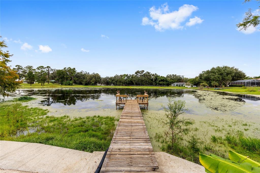 12094 Southeast 60th Avenue Road Belleview, FL 34420 - Photo 54 of 74