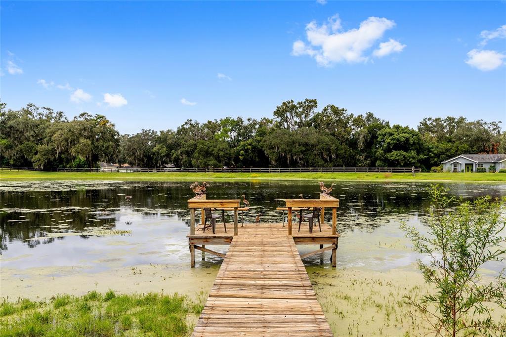 12094 Southeast 60th Avenue Road Belleview, FL 34420 - Photo 55 of 74 a view of a lake with houses in the back