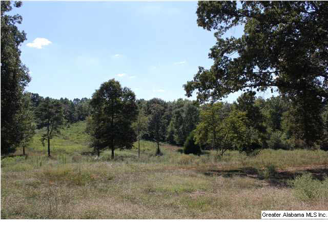 13084 Jackson Trace Road, Unit 94 83 AC Lincoln, AL 35096 - Photo 24 of 32