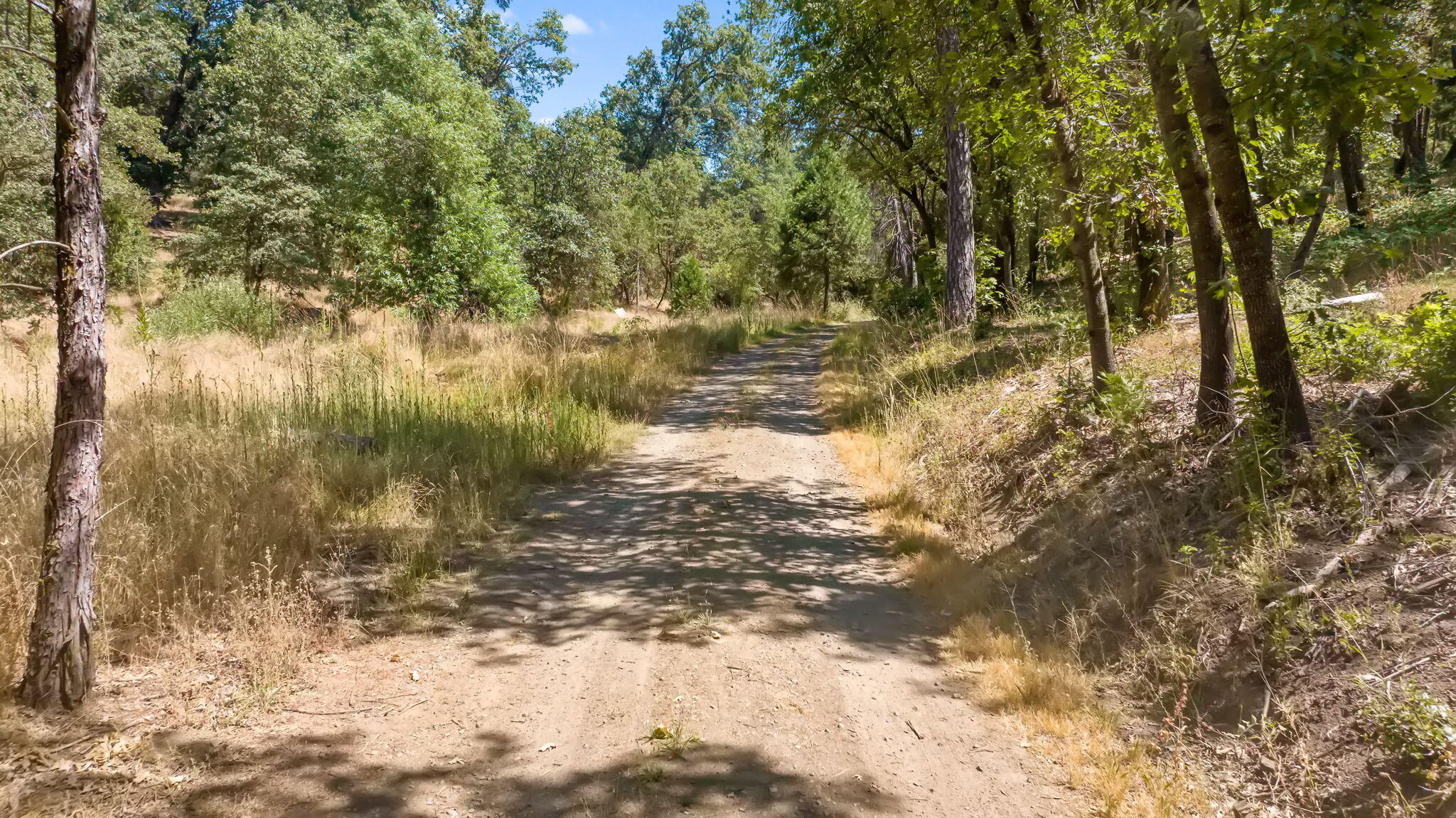 48675 Todd Eymann Road Miramonte, CA 93641 - Photo 97 of 103 96-web-or-mls-64-print-DJI_2024080514411