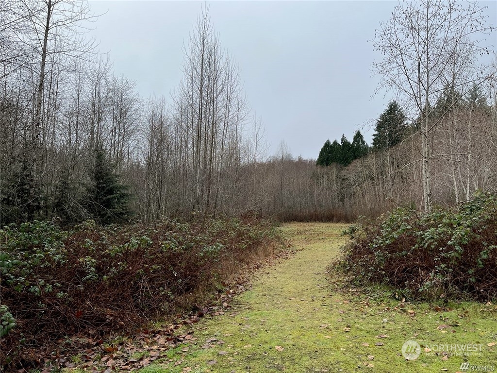 0 East Wheelwright Street Allyn, WA 98524 - Photo 1 of 1