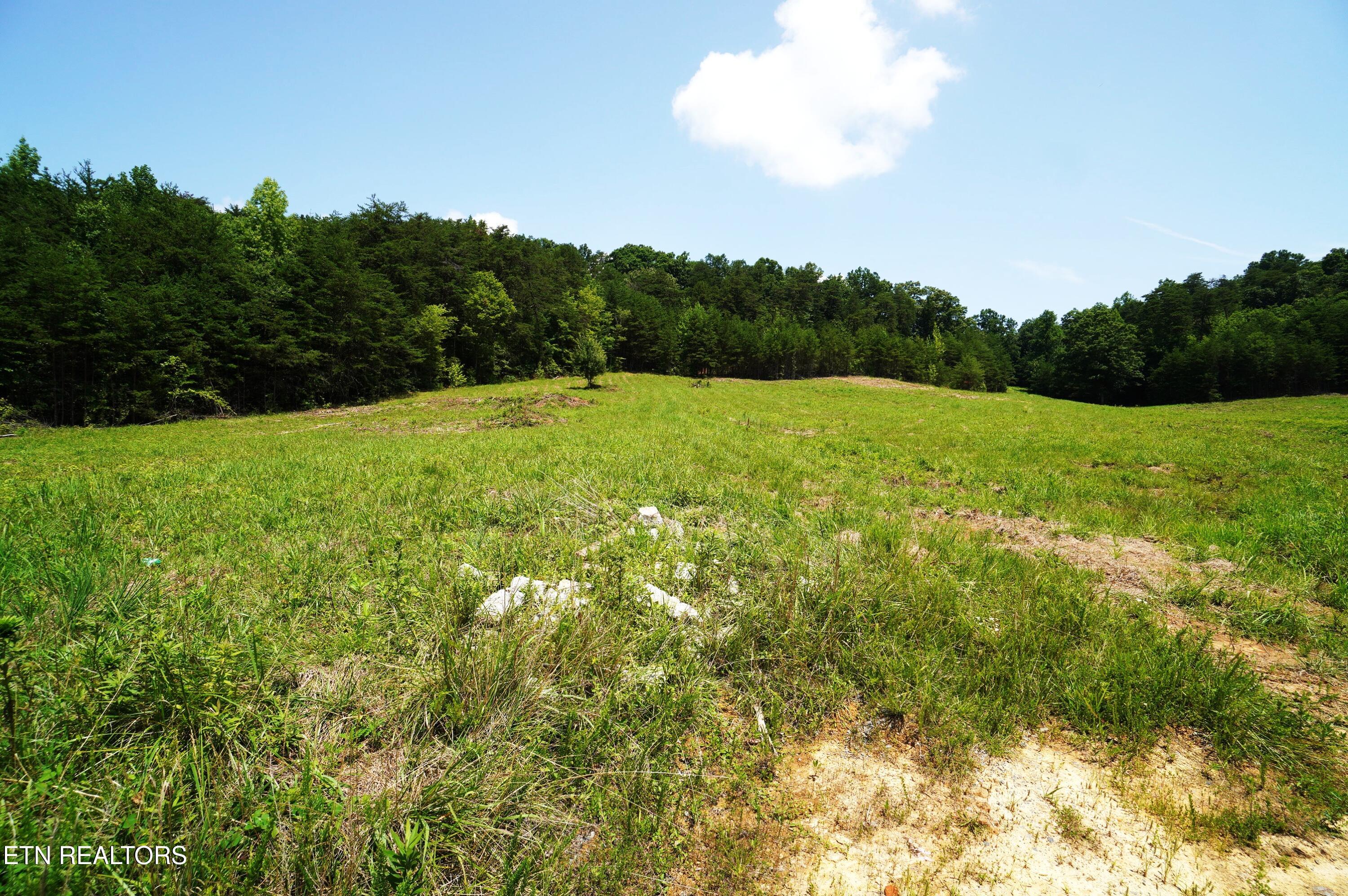 0 Rhyne Camp Road Newport, TN 37821 - Photo 5 of 19 camp rhyne rd (7)