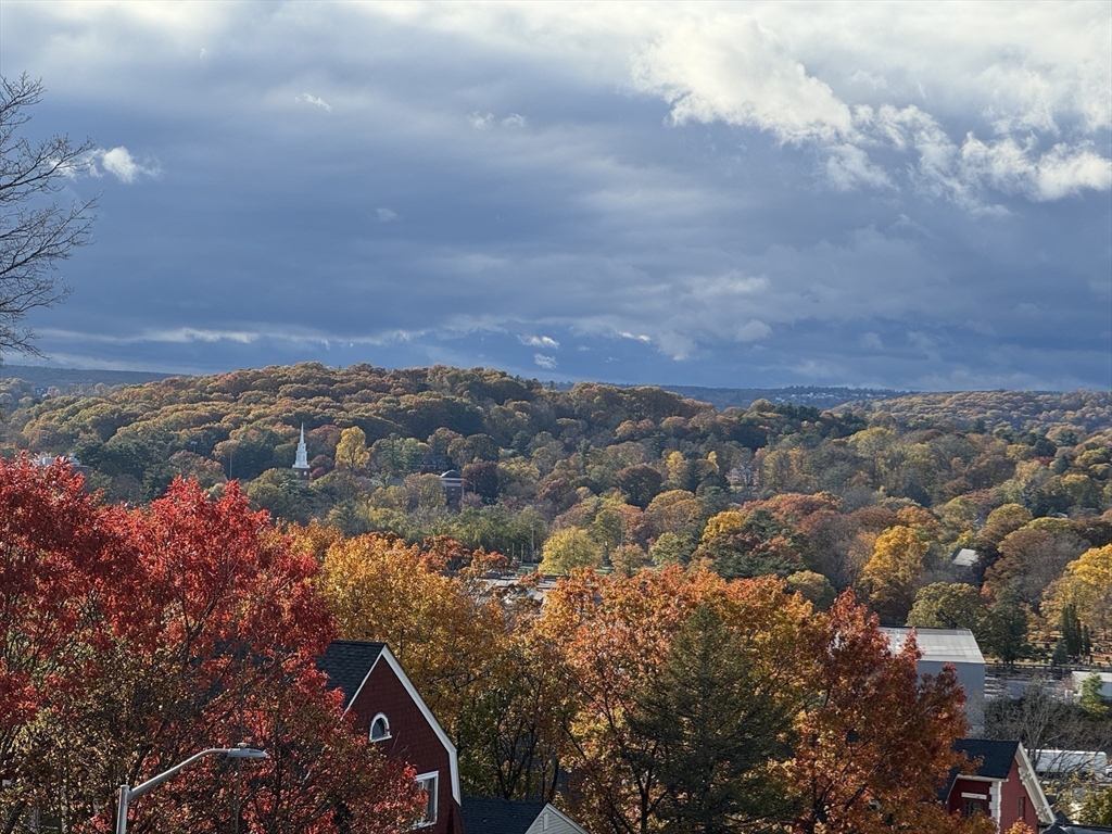 41 Westminster Street Worcester, MA 01605 - Photo 16 of 32 an aerial view of houses covered in trees