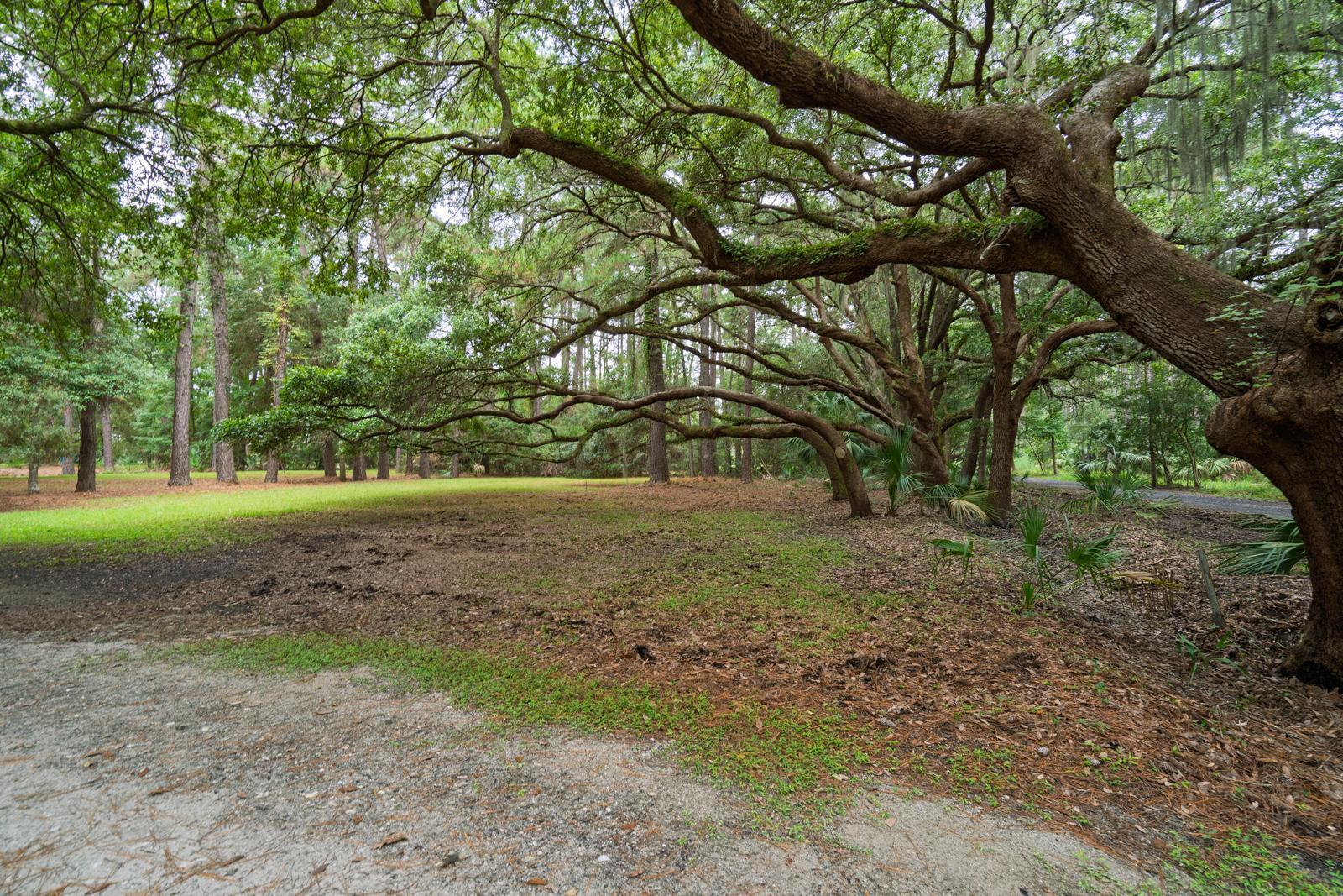 7805 Russell Creek Road Edisto Island, SC 29438 - Photo 45 of 96 untitled-41