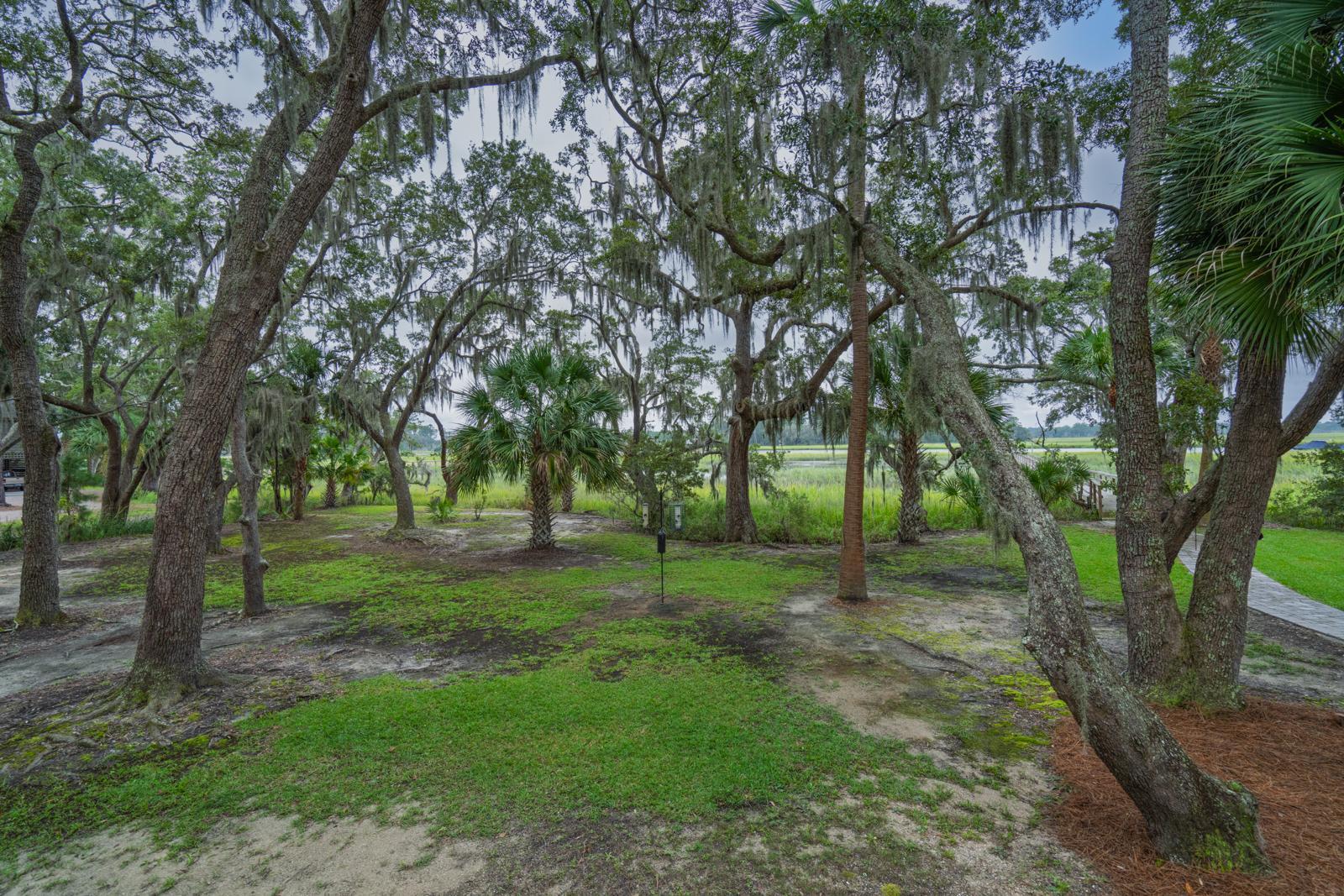 7805 Russell Creek Road Edisto Island, SC 29438 - Photo 56 of 96 untitled-53