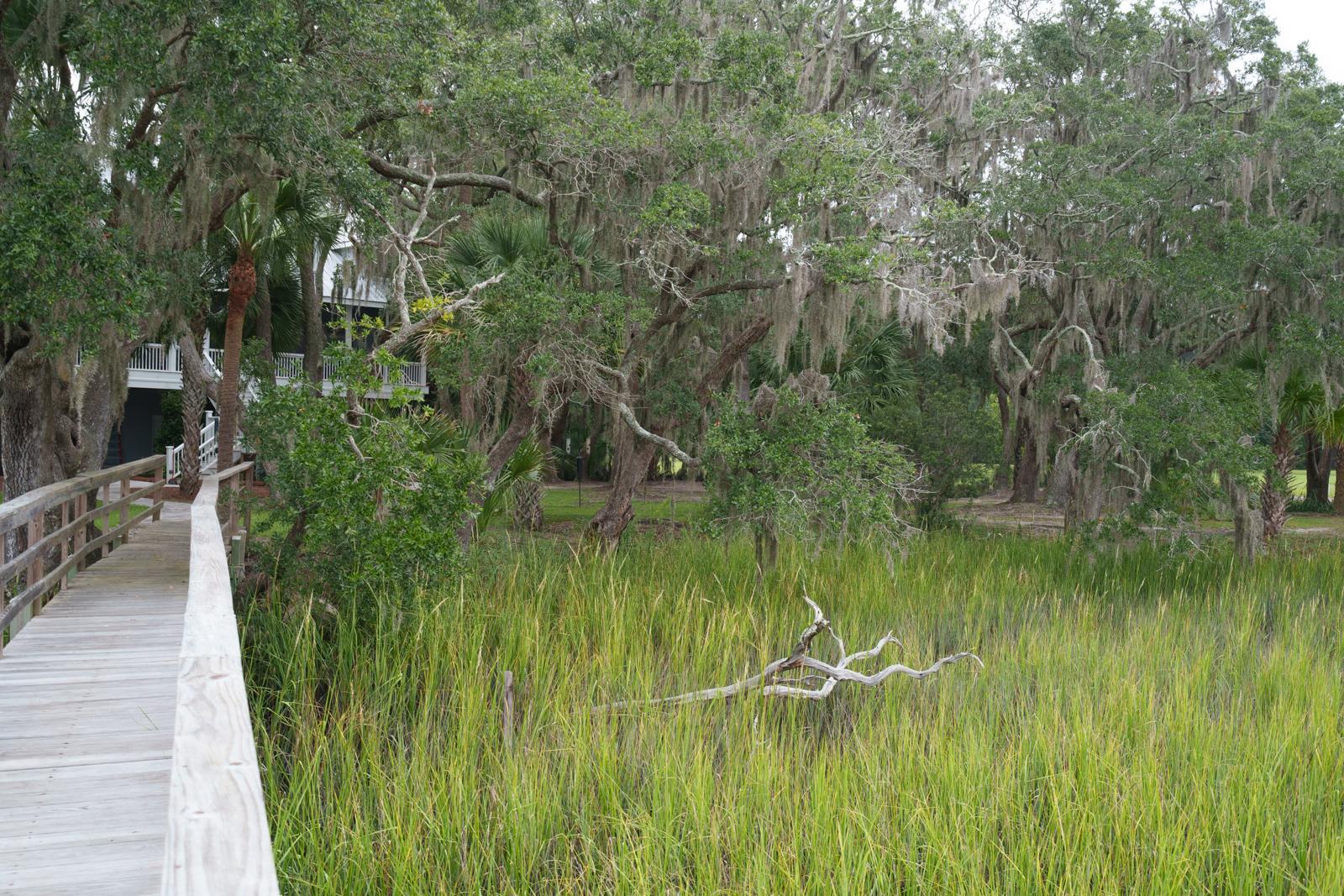 7805 Russell Creek Road Edisto Island, SC 29438 - Photo 66 of 96 untitled-64