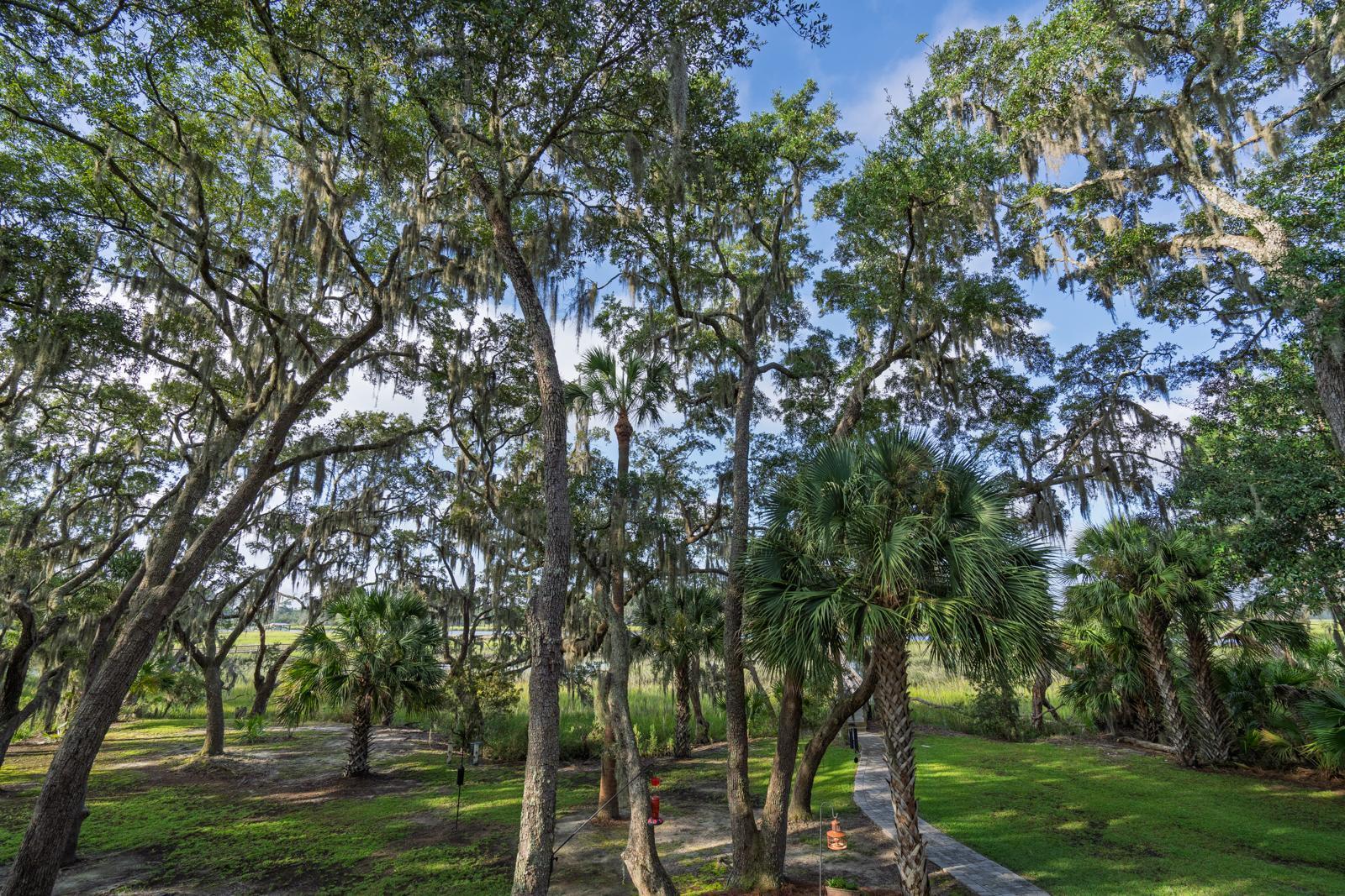 7805 Russell Creek Road Edisto Island, SC 29438 - Photo 70 of 96 untitled-70