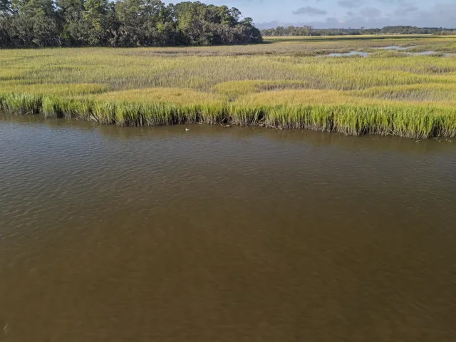 $1,850,000 | 7805 Russell Creek Road, Edisto Island, SC 29438