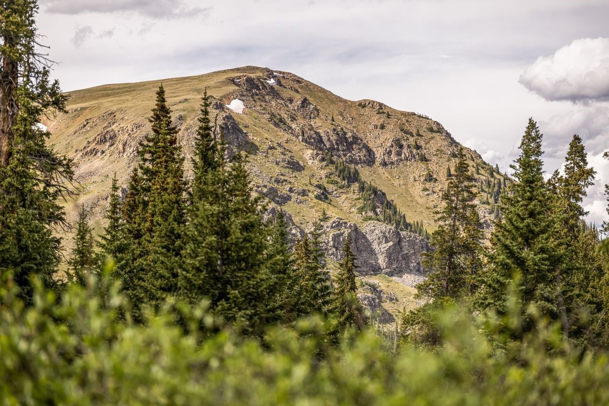 1234 Saints John Road Dillon, CO 80435 - Photo 41 of 50