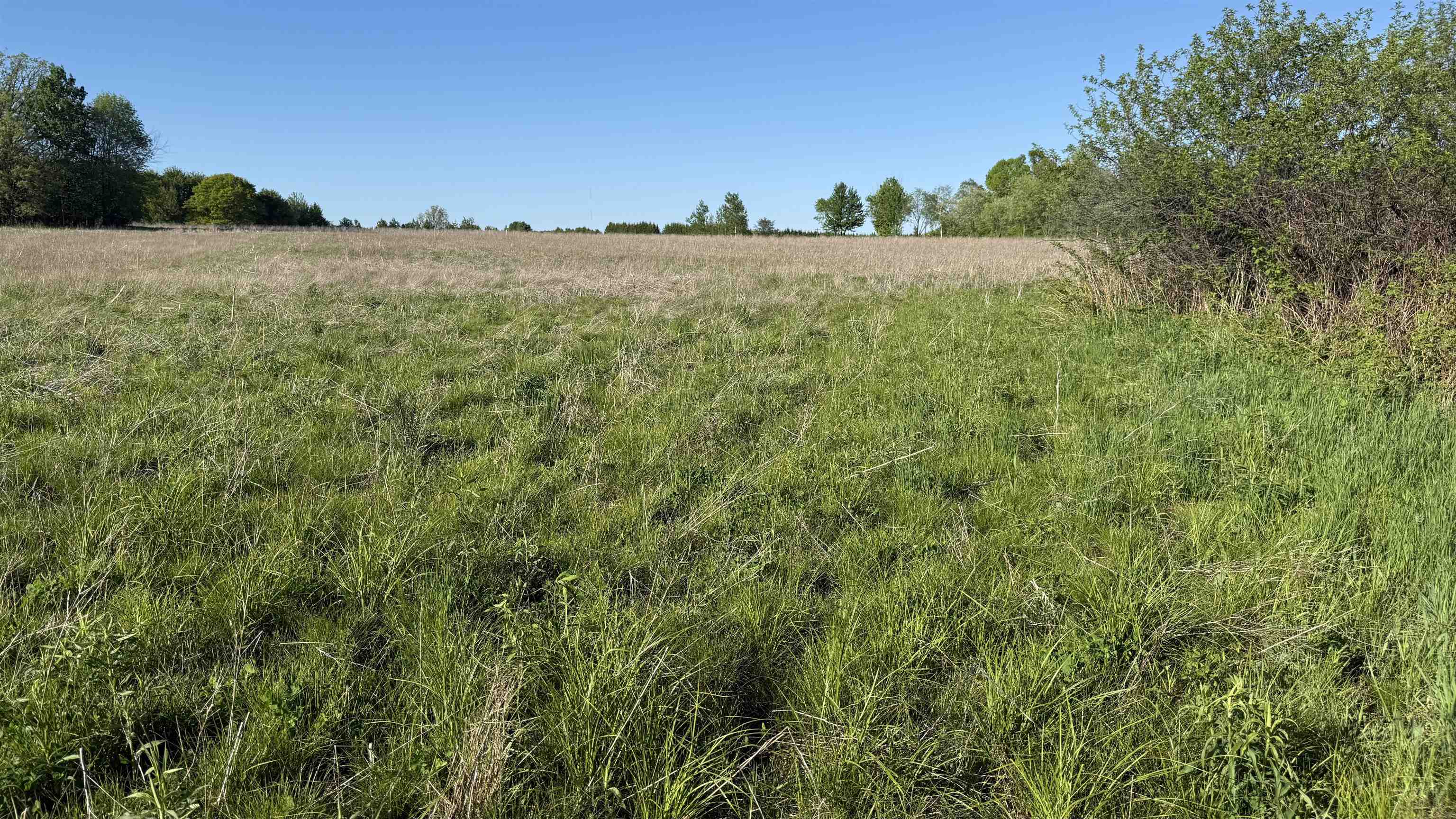 Lot 3 Eau Claire River Road Ringle, WI 54471 - Photo 22 of 28